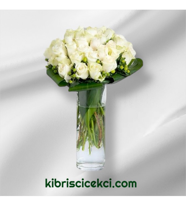 Vazoda 29 Beyaz Gül Vazoda 29 Beyaz Gül